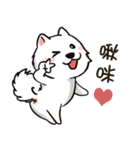 Japanese Spitz Michael-Life conversation（個別スタンプ：13）