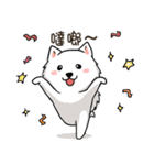 Japanese Spitz Michael-Life conversation（個別スタンプ：14）