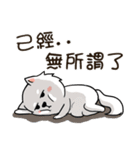 Japanese Spitz Michael-Life conversation（個別スタンプ：16）