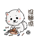 Japanese Spitz Michael-Life conversation（個別スタンプ：19）