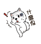 Japanese Spitz Michael-Life conversation（個別スタンプ：23）