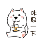 Japanese Spitz Michael-Life conversation（個別スタンプ：36）