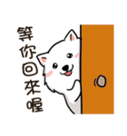 Japanese Spitz Michael-Life conversation（個別スタンプ：38）