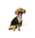 マルプーと一緒（個別スタンプ：4）