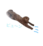 マルプーと一緒（個別スタンプ：13）