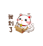 Akane Meow Meow（個別スタンプ：17）