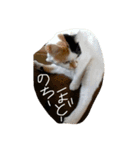 リールーさん#2（個別スタンプ：4）