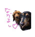 ジュラぽん（個別スタンプ：14）