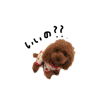 らむ、おこげちゃん2（個別スタンプ：17）