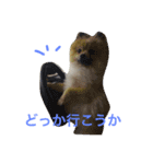 きなぽこぽんぽんぽん（個別スタンプ：3）