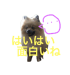 きなぽこぽんぽんぽん（個別スタンプ：4）