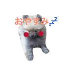 きなぽこぽんぽんぽん（個別スタンプ：7）