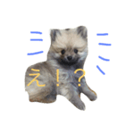 きなぽこぽんぽんぽん（個別スタンプ：11）