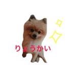 きなぽこぽんぽんぽん（個別スタンプ：13）
