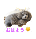 たるぼっち☆（個別スタンプ：2）
