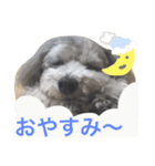 たるぼっち☆（個別スタンプ：3）