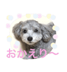たるぼっち☆（個別スタンプ：4）