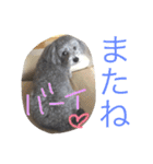 たるぼっち☆（個別スタンプ：5）