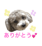 たるぼっち☆（個別スタンプ：6）