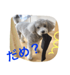 たるぼっち☆（個別スタンプ：9）