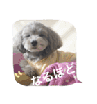 たるぼっち☆（個別スタンプ：13）