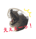たるぼっち☆（個別スタンプ：14）