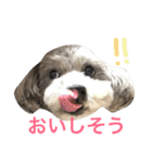 たるぼっち☆（個別スタンプ：20）