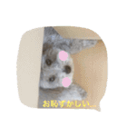 たるぼっち☆（個別スタンプ：21）