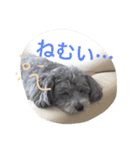 たるぼっち☆（個別スタンプ：24）