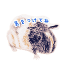 モルモットと一緒に（個別スタンプ：6）