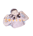 モルモットと一緒に（個別スタンプ：7）