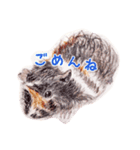 モルモットと一緒に（個別スタンプ：8）