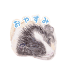 モルモットと一緒に（個別スタンプ：9）
