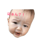 ほーちゃんスタンプ！（個別スタンプ：5）