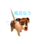 みけんスタンプ（個別スタンプ：2）