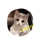 自由なさくらちゃん（個別スタンプ：3）