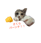 自由なさくらちゃん（個別スタンプ：5）