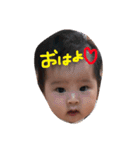 こだまん5（個別スタンプ：1）