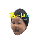 こだまん5（個別スタンプ：13）