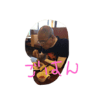 MuMokkawaii（個別スタンプ：5）