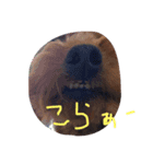 MuMokkawaii（個別スタンプ：6）