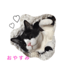 はちふく（個別スタンプ：2）