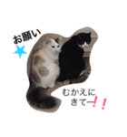 はちふく（個別スタンプ：9）