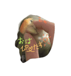 ぴーたすpart2（個別スタンプ：1）