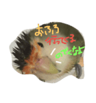 ぴーたすpart2（個別スタンプ：4）