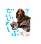 ちびことてと（個別スタンプ：5）