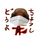 ちびことてと（個別スタンプ：9）