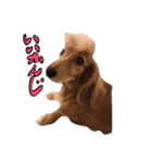 ちびことてと（個別スタンプ：10）