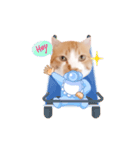 コスプレにゃんこ4（個別スタンプ：2）