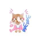 コスプレにゃんこ4（個別スタンプ：3）